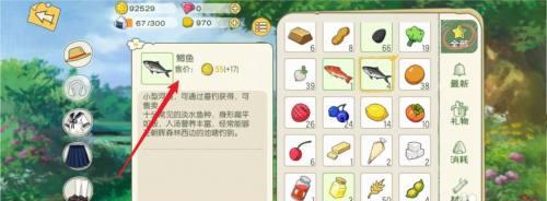 《小森生活》中的钓鱼技巧分享（成为高级钓手的15个技巧）