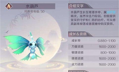 精灵战士技能选择攻略（无敌攻略指南帮你迅速掌握技能搭配要点）