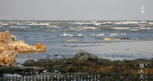 立冬技能配置攻略（轻松提升生活质量的技能配置）