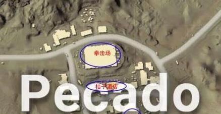 《探索沙漠生存的奇妙世界》（带你畅游手游沙漠生存，解密胜利密码）