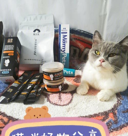 超级猫咪阵容出装攻略（打造无敌团队，征服全场）