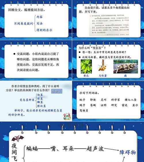 探秘飞行的奥秘（揭开飞行技巧的神秘面纱）